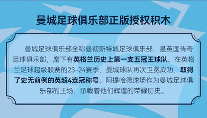 CADA C66022 Manchester City Stadium