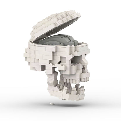 MOC-41161 Human Skull with brain