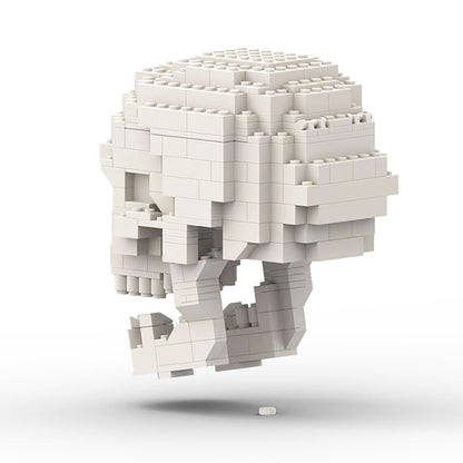 MOC-41161 Human Skull with brain