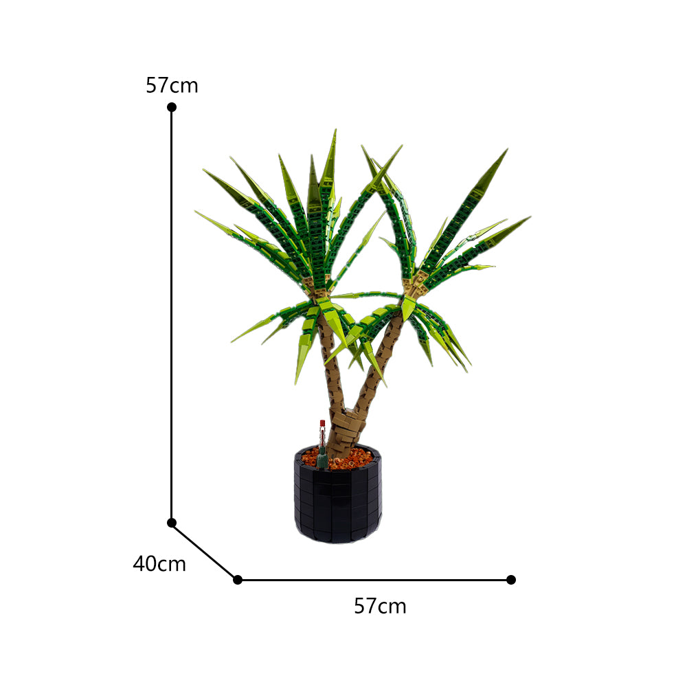 MOC-118715 Dracaena Marginata