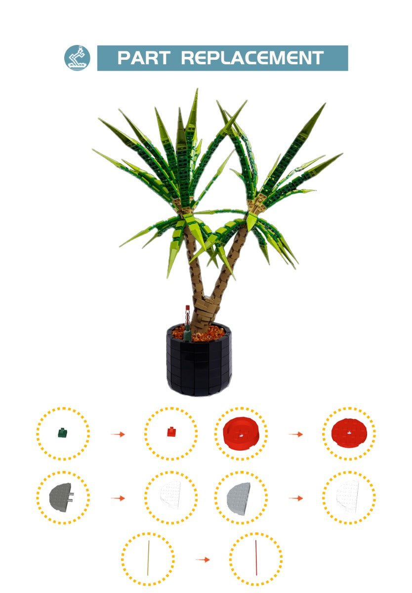 MOC-118715 Dracaena Marginata