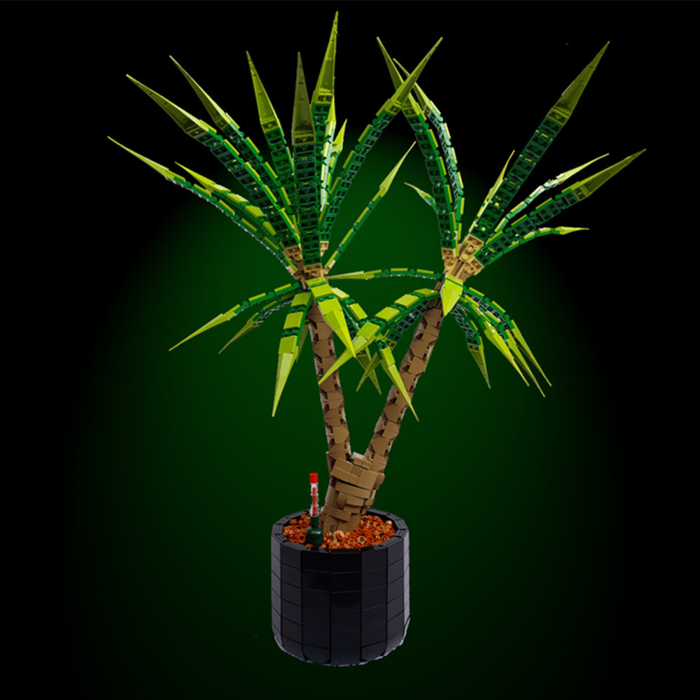 MOC-118715 Dracaena Marginata