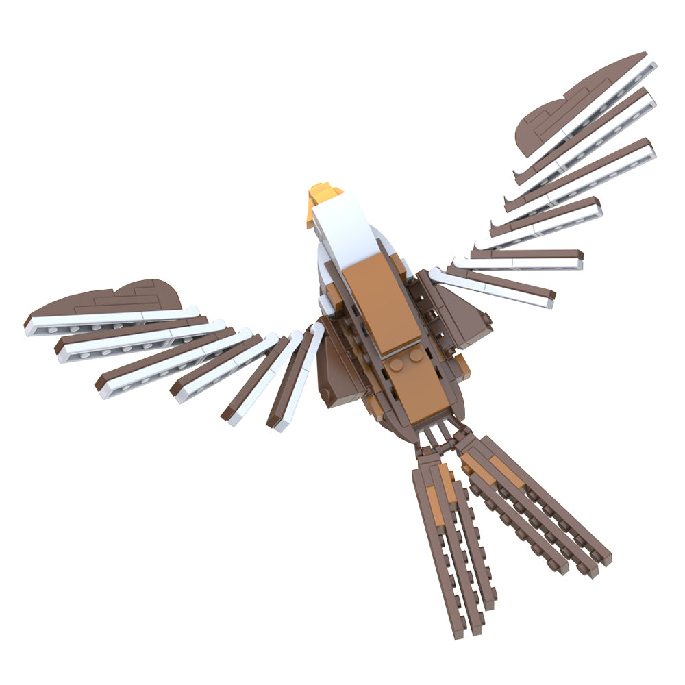 MOC-158497 Bald eagle