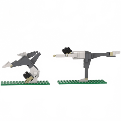 this is a product image