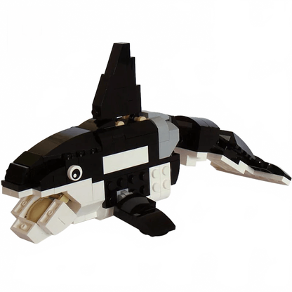 this is a product image